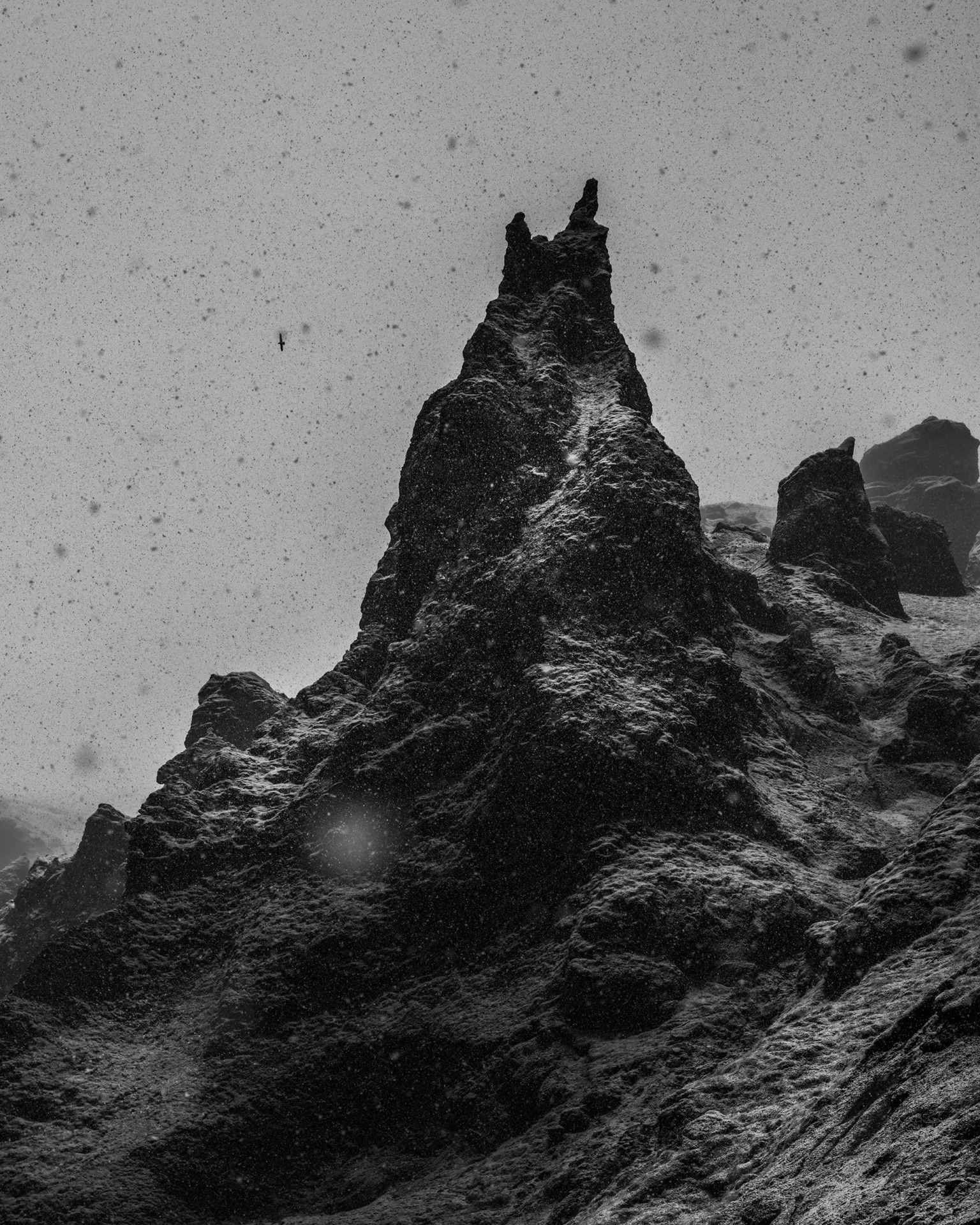 Rifugio Digitale - Exhibit: SuperNatural Open Walls, by Luca Locatelli, Charlotte Dumas, Piero Percoco, Matthieu Gafsou, Hayley Eichenbaum, Maria Lax, Petrina Hicks