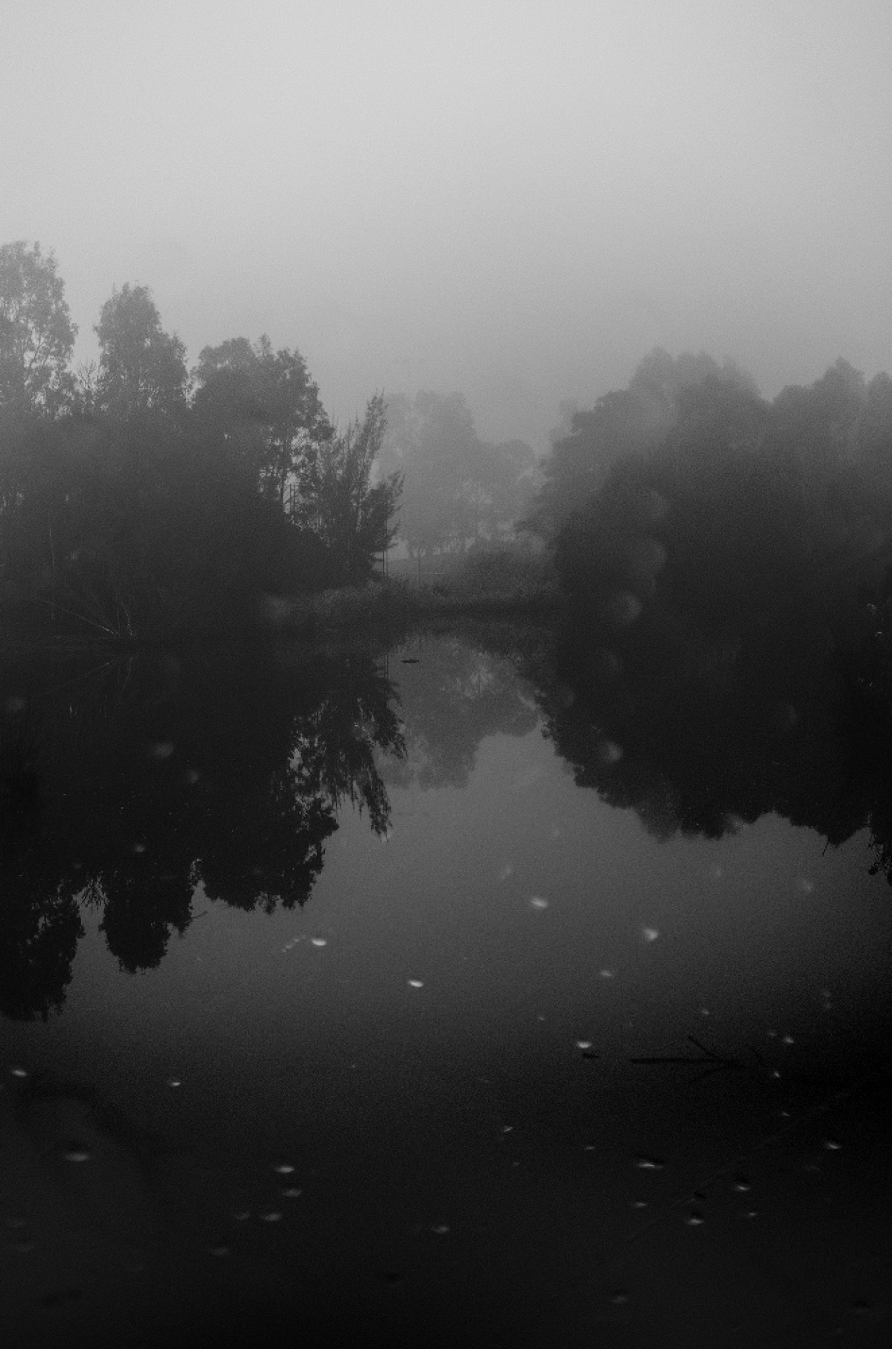 Dark Whispers