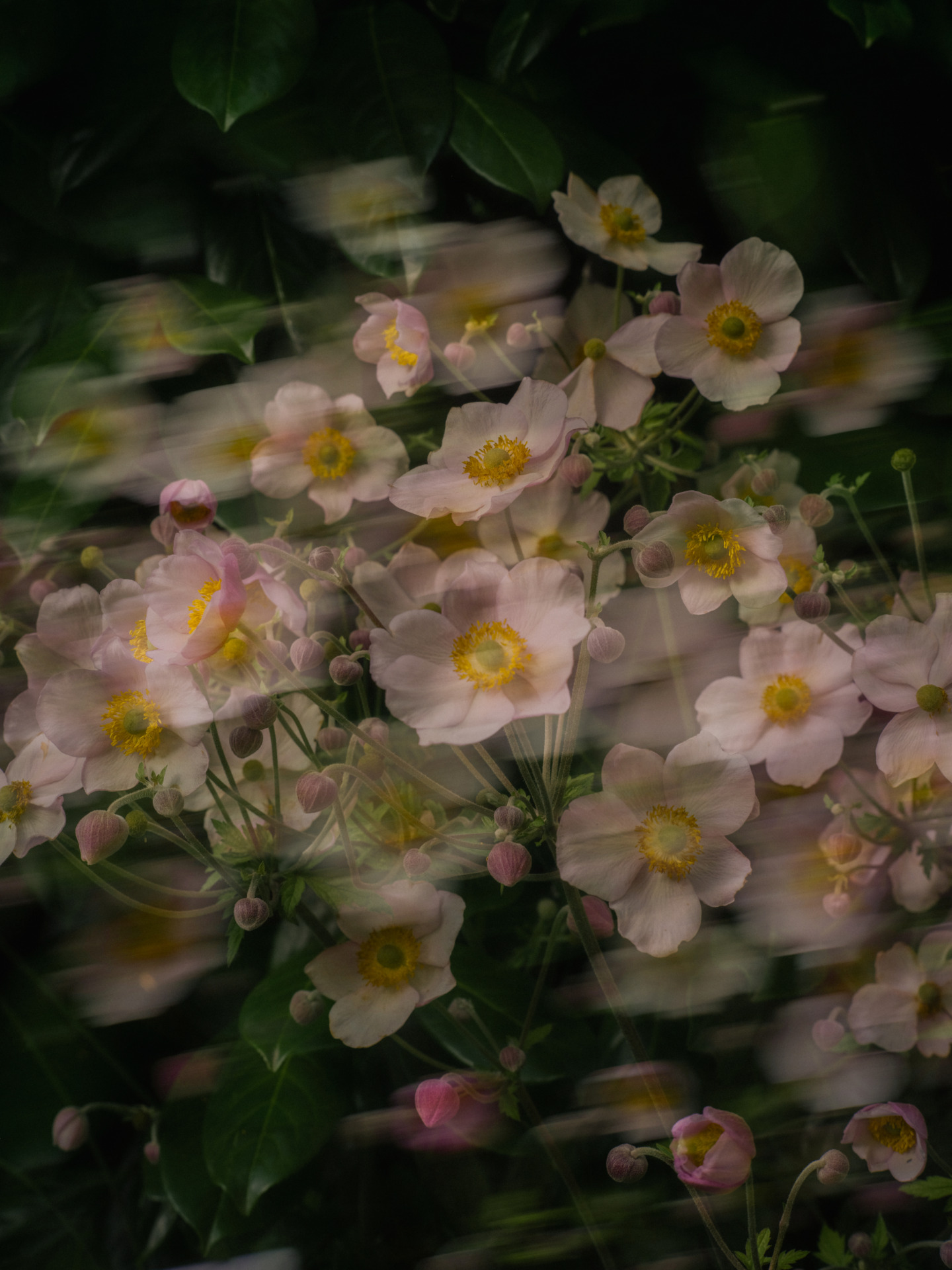 Rifugio Digitale - Exhibit: Birthmark, by Isa Rus