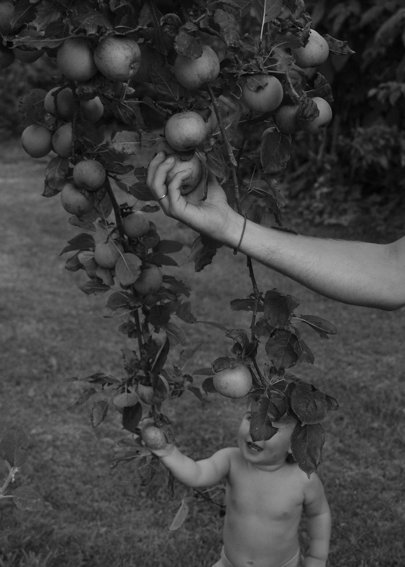 Rifugio Digitale - Exhibit: Birthmark, by Isa Rus