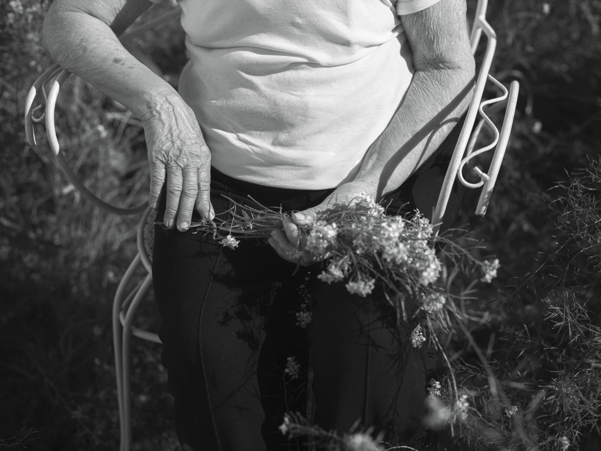 Rifugio Digitale - Exhibit: Birthmark, by Isa Rus