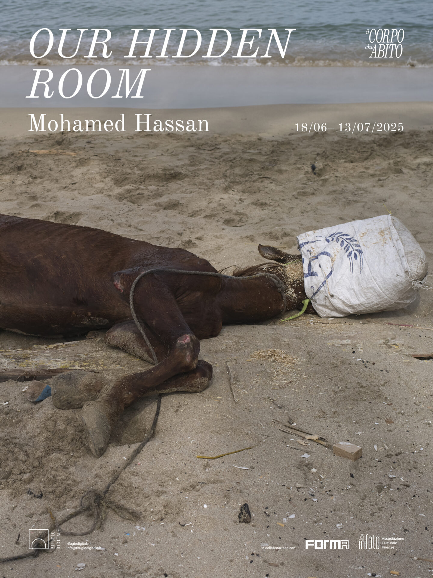 Mohamed Hassan. Our Hidden Room