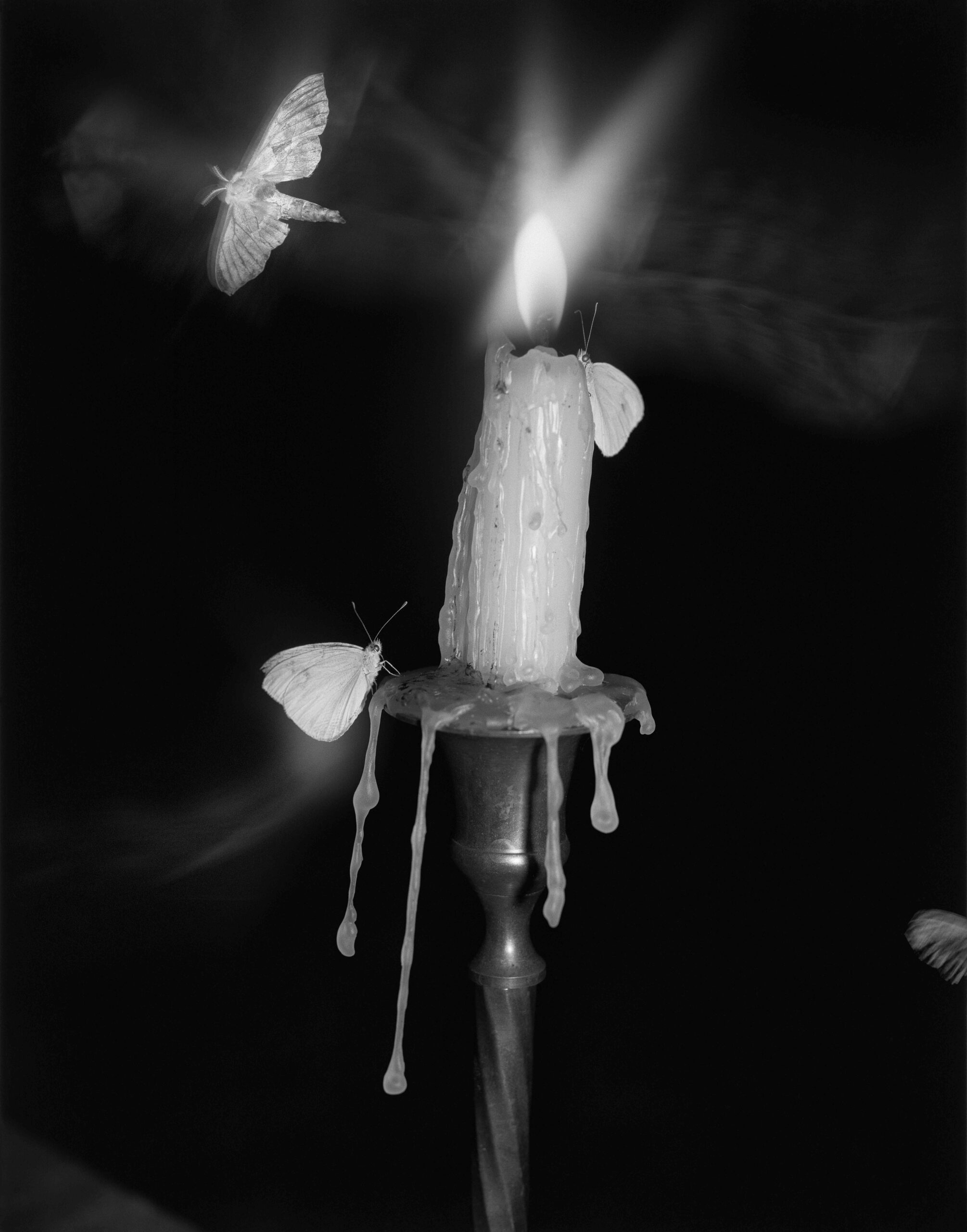 Mockup mostra “Flowers Drink The River” di Pia-Paulina Guilmoth