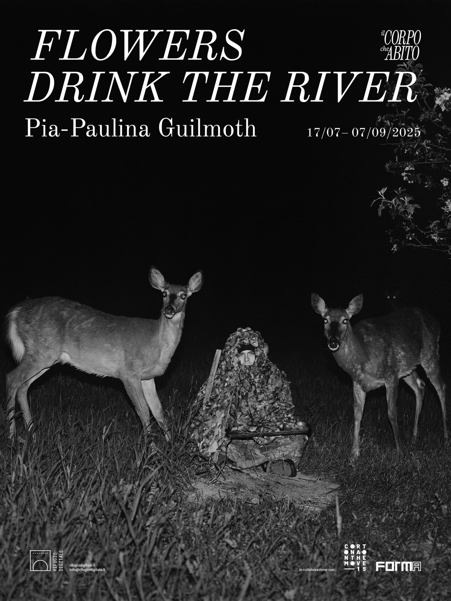 FLOWERS DRINK THE RIVER