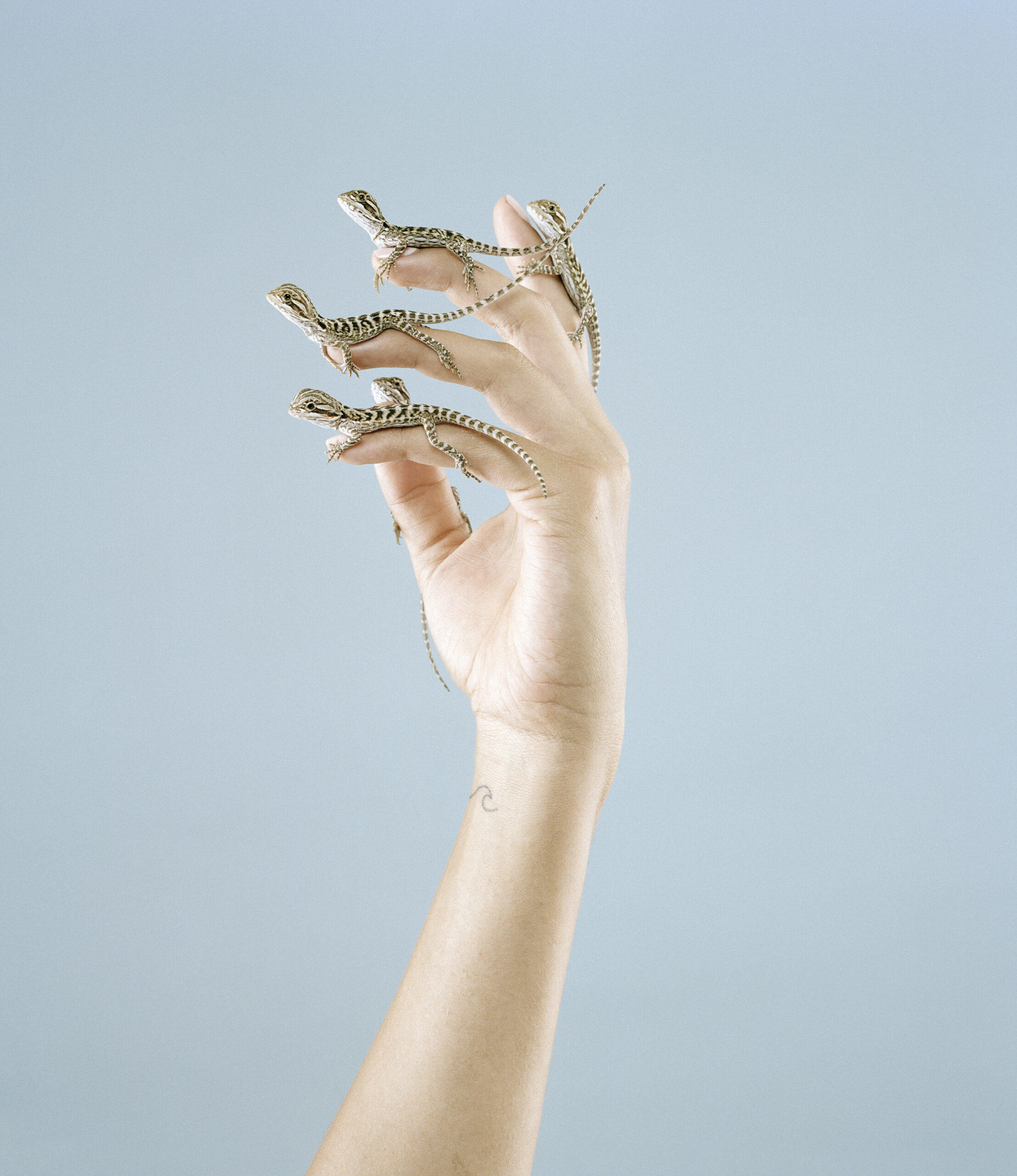 Petrina Hicks prossimo evento