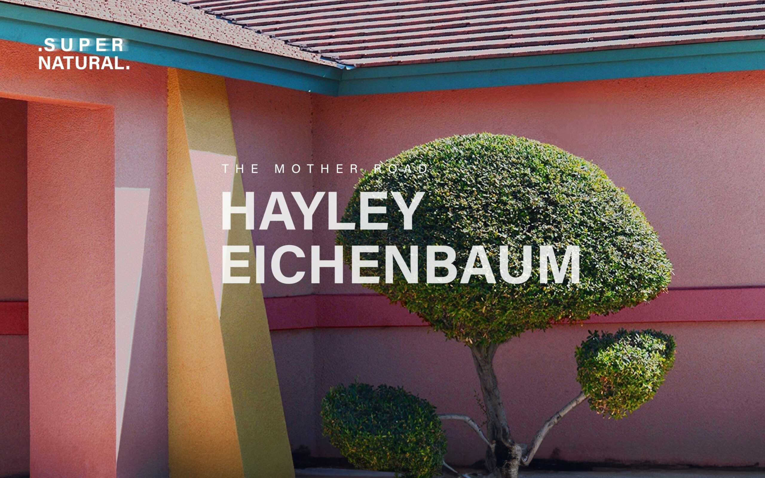 SuperNatural, Hayley Eichenbaum, The Mother Road