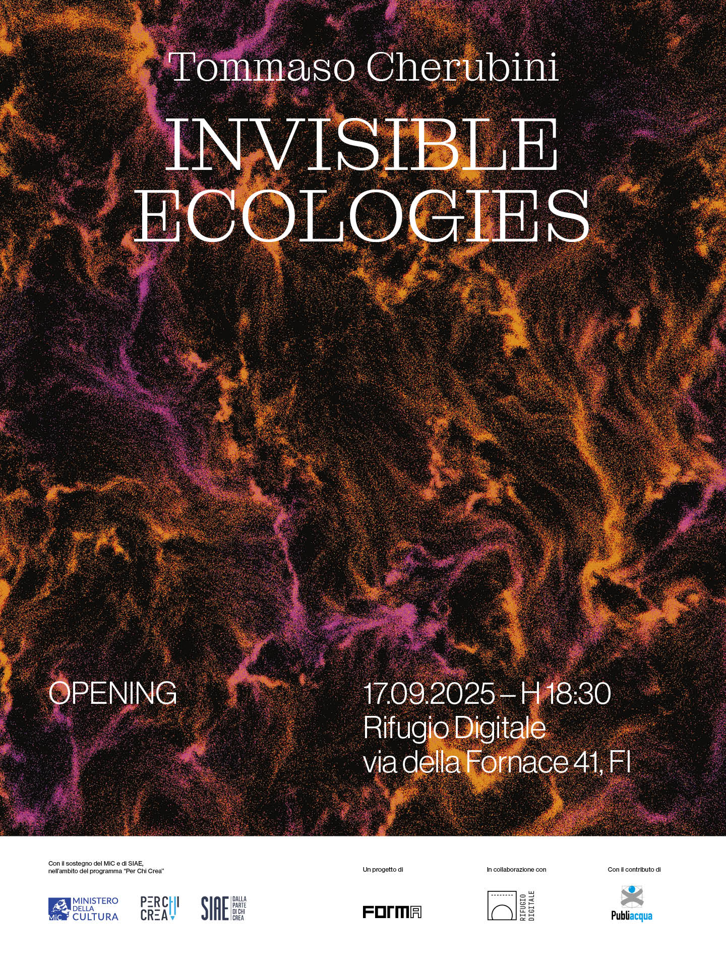 Invisible Ecologies