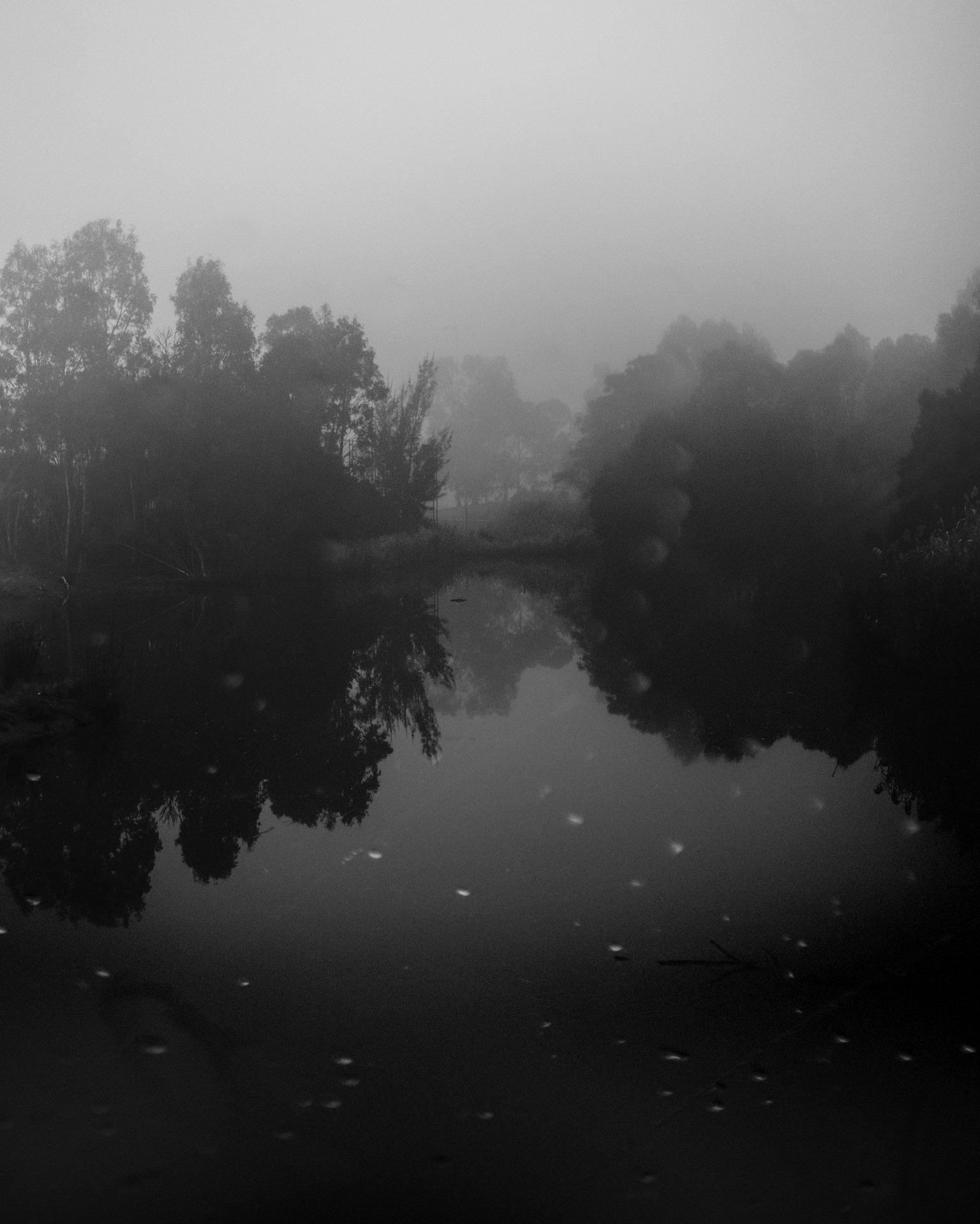 Rifugio Digitale - Exhibit: Homecoming Open Walls, by Lara Shipley, Kalpesh Lathigra, Robin Hinsch, Morganna Magee, Isa Rus, Claudine Doury