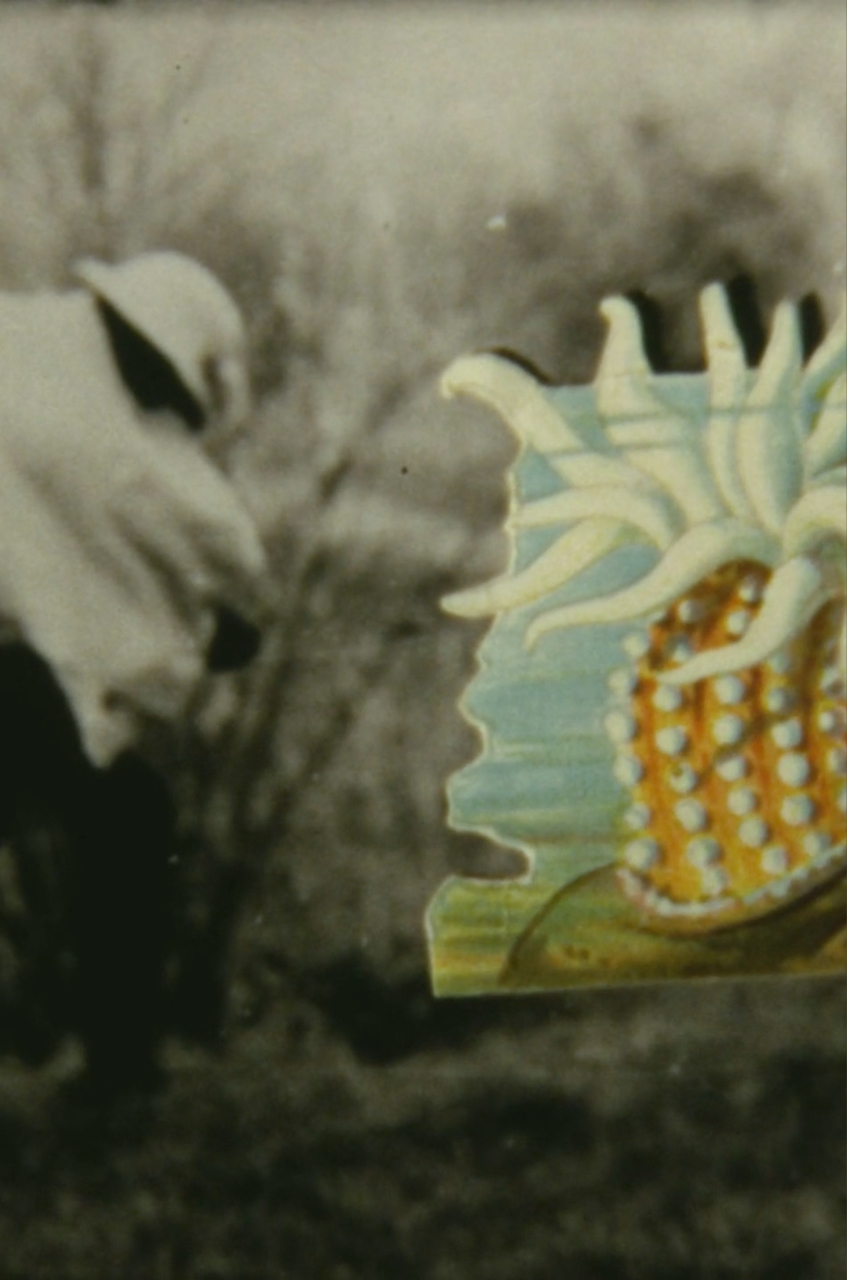 Andrea Granchi. The Moving Image