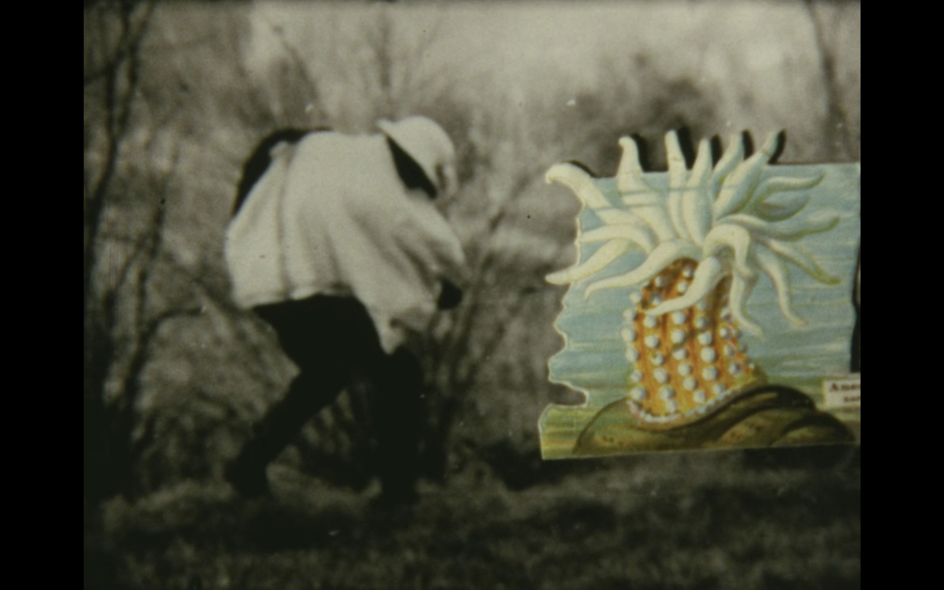 Rifugio Digitale - Exhibit: Andrea Granchi. L’immagine in movimento, by Andrea Granchi