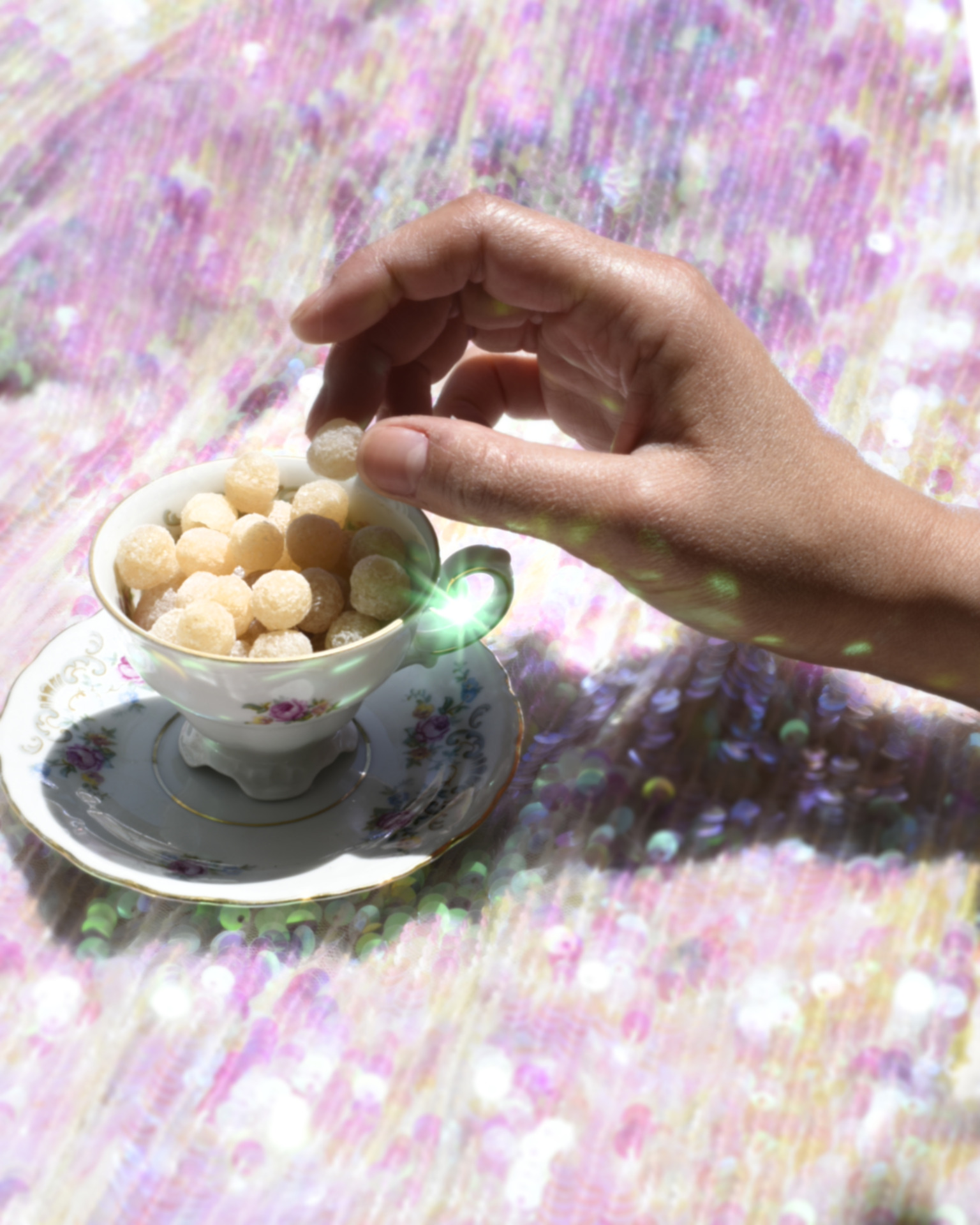 Rifugio Digitale - Exhibit: Soul Food – Cibo per l’Anima, by Fred Mungo, Lisa Sorgini, Gregg Segal, Anh Nguyen, Claire Rosen, Lucia Buricelli, Klaus Pichler