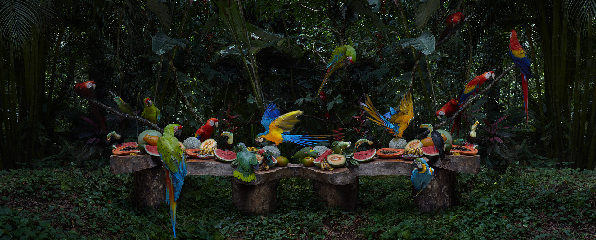 Rifugio Digitale - Exhibit: Soul Food – Cibo per l’Anima, by Fred Mungo, Lisa Sorgini, Gregg Segal, Anh Nguyen, Claire Rosen, Lucia Buricelli, Klaus Pichler