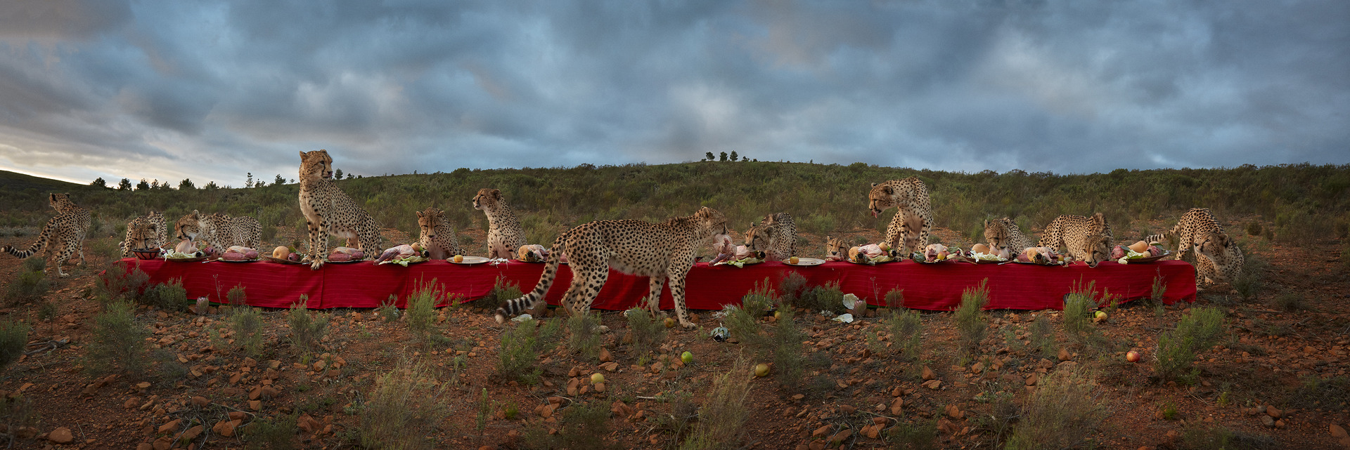 Rifugio Digitale - Exhibit: Soul Food – Cibo per l’Anima, by Fred Mungo, Lisa Sorgini, Gregg Segal, Anh Nguyen, Claire Rosen, Lucia Buricelli, Klaus Pichler