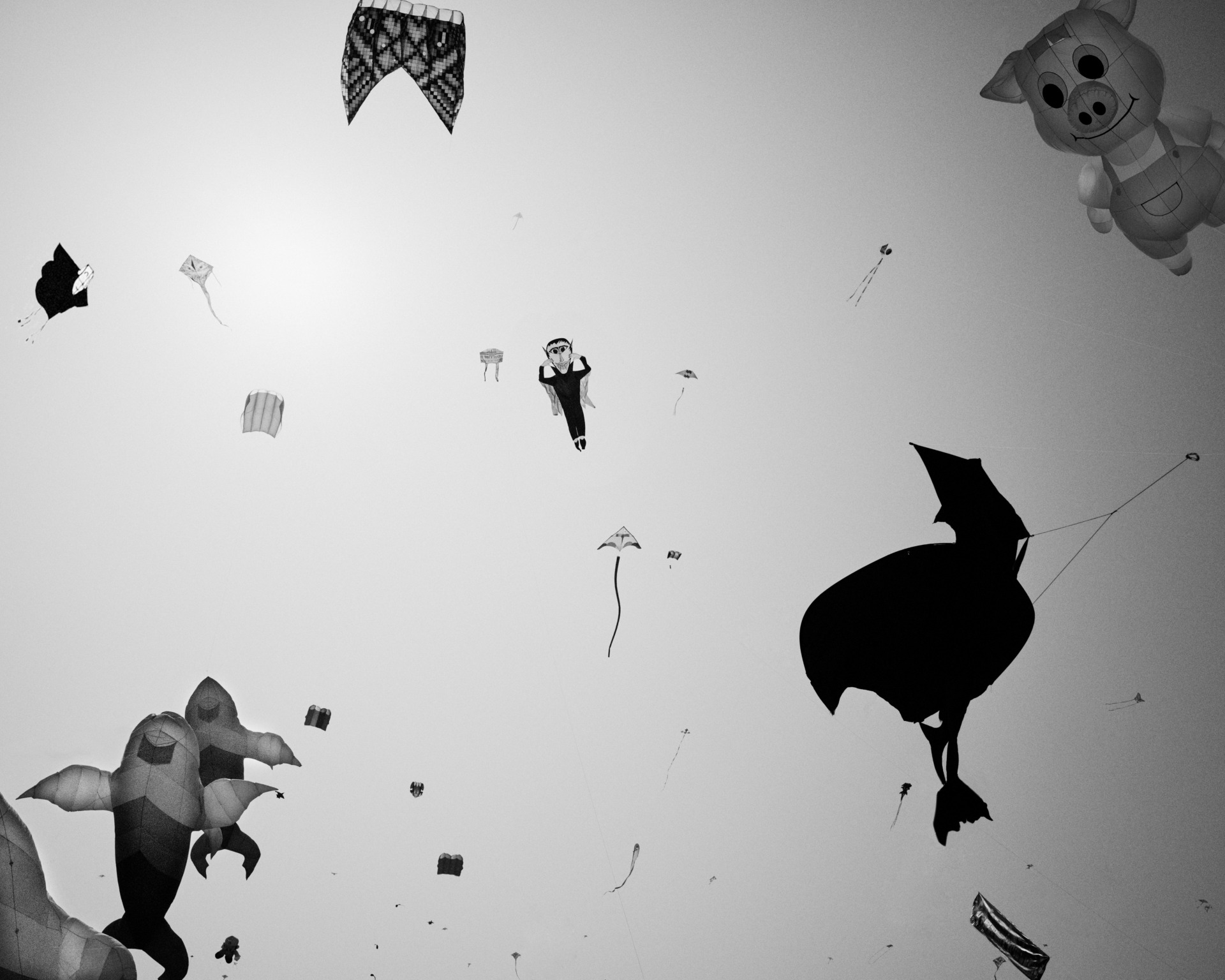 Rifugio Digitale - Exhibit: SYNCHRONIC, by Xu Xiaowei