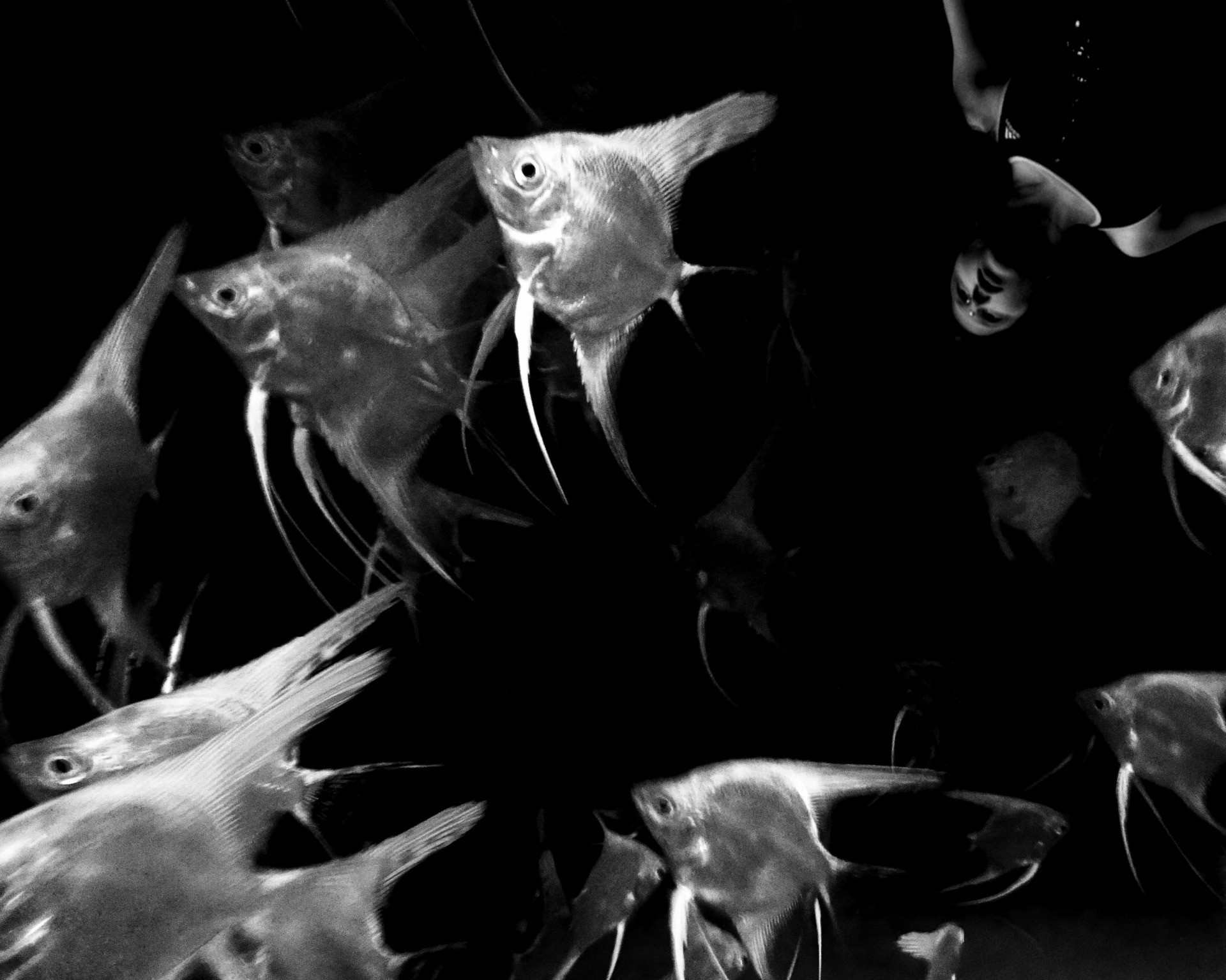 Rifugio Digitale - Exhibit: SYNCHRONIC, by Xu Xiaowei