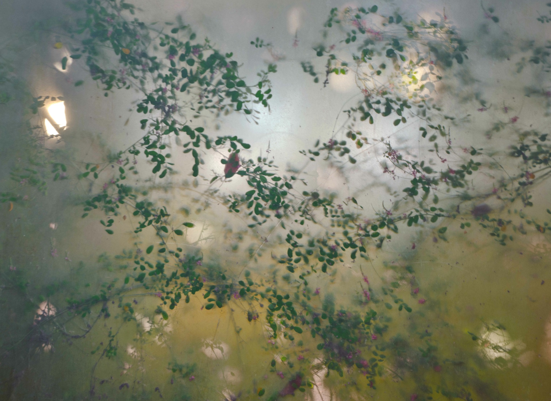 Rifugio Digitale - Exhibit: SYNCHRONIC, by Xu Xiaowei